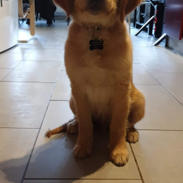 Marley profile