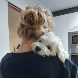 Pablo profile