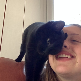 Romy profile