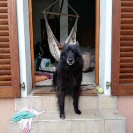Lola profile