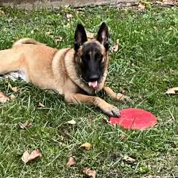 Toska profile