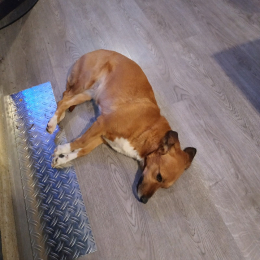 Hési et samy profile