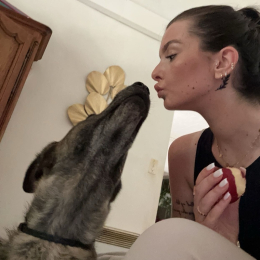Sam profile