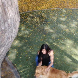Shirley profile