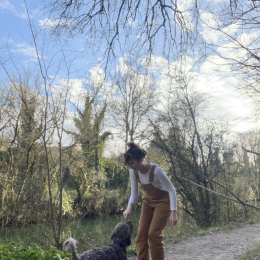 Tweed profile