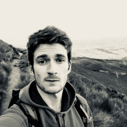Tanguy profile