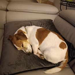 Louna profile