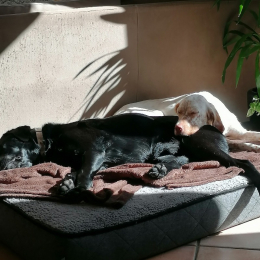 Cooper et gaïa profile