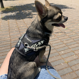 Oliver profile