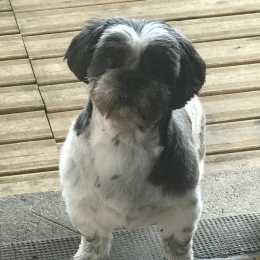 Sushi profile