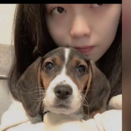 Yuhan profile