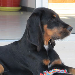Moby profile