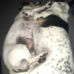 Hylithie et jackson profile