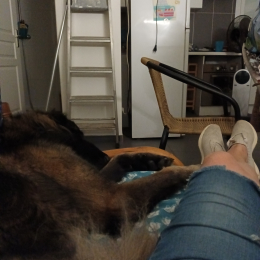 Nala lewis. tara.tipou.bouboule profile