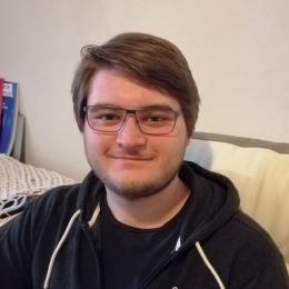 David profile