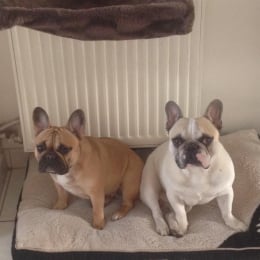 Iggyns et magda profile