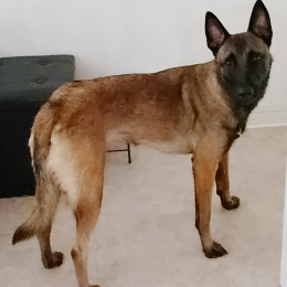 Uka profile