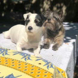 Doog/ginette profile