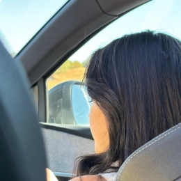 Cerine profile