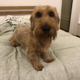 Max profile