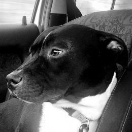 Spike profile