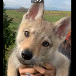 Friend profile
