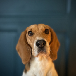 Stormie profile