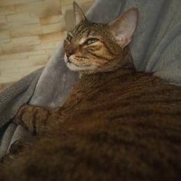 Coralie profile