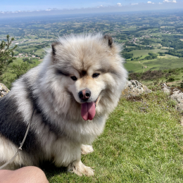 Yuska profile