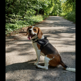 Cooper profile