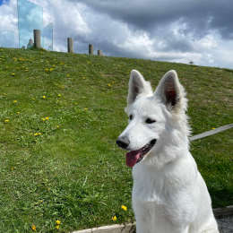 Ushka profile