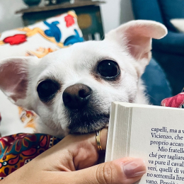 Perla profile
