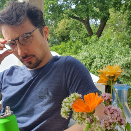 Guillaume profile