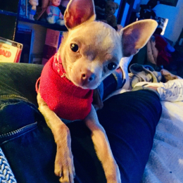 Prince profile