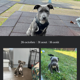 Vénus profile