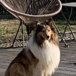 Ulyss profile