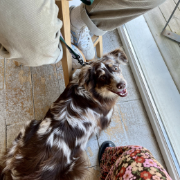 Vaika profile