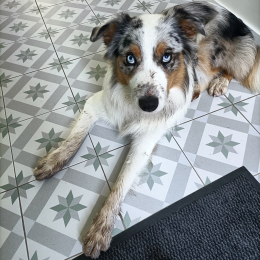 Tiago profile