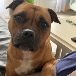 Charlie profile