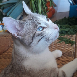 Marie profile