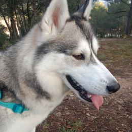 Lilou profile