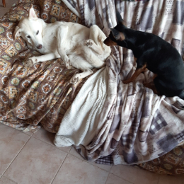 Cloe e rudy profile
