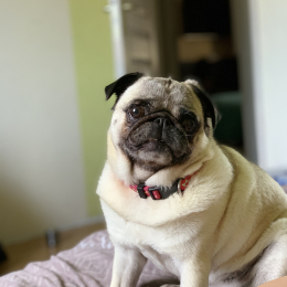 Ewann profile