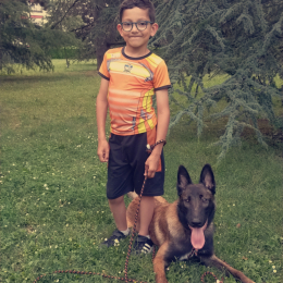 Fossi chrystelle profile