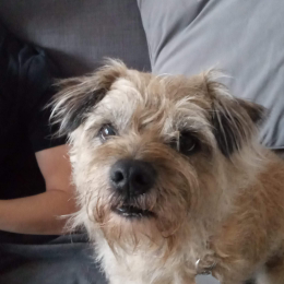 Buster profile