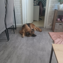 Linda et tyson profile