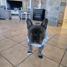 Tayson profile