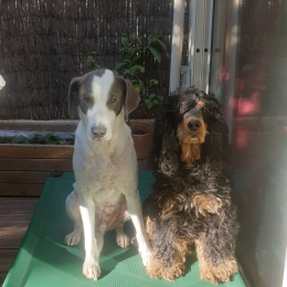 Hadès et chuwi profile