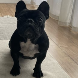Camille profile