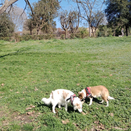 Belle e daisy profile